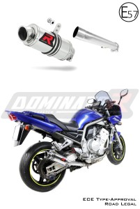 Yamaha FZS FAZER 1000 2001 - 2005 EU Homologado aprobado Silenciador Escape GP1