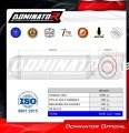 Honda XL 650 V TRANSALP 2001 - 2007 EXHAUST Muffler Auspuff Sportauspuff Silencer Echappement Silencieux Scarico Scarichi Escape Wydech Tłumik OVR Dominator Exhaust System 1