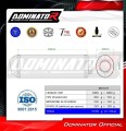 Pegaso 650 Strada Exhaust Aprilia Muffler Auspuff Sportauspuff Silencer Echappement Silencieux Scarico Scarichi Escape OVR 2005 - 2006 Dominator  1