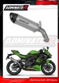 escape silenciador DOMINATOR titanio HP8 compatible con la motocicleta Kawasaki ZX4R / RR 2023  2024
