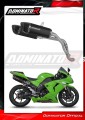 escape silenciador DOMINATOR HP6 negro compatible con la motocicleta Kawasaki ZX10R 2006  2007 2