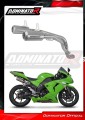 escape silenciador DOMINATOR GPS compatible con la motocicleta Kawasaki ZX10R 2006  2007 2