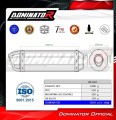 Honda CBF 600 2004-2007 EXHAUST Muffler Auspuff Sportauspuff Silencer Echappement Silencieux Scarico Scarichi Escape Wydech Tłumik HP1 Dominator Exhaust System 1