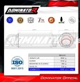 sistema de escape completo con silenciador DOMINATOR Full System GPF negro compatible con la motocicleta Triumph Trident 660 2021  2024 6