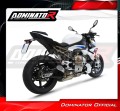 exhaust muffler DOMINATOR titanium GP3 fits to BMW S1000R 2021  2026 4