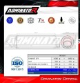 escape silenciador DOMINATOR GPF compatible con la motocicleta Yamaha TDM 900 2002  2013 6