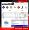 escape silenciador DOMINATOR GPS compatible con Kawasaki Z900 2025 2026 5