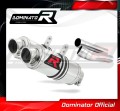 MONSTER 695 EXHAUST Ducati Muffler Auspuff Sportauspuff Silencer Echappement Silencieux Scarico Scarichi Escape Wydech Tłumik GP 1 2006 - 2008 Dominator 