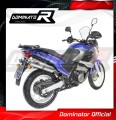 Pegaso 650 Exhaust Aprilia Muffler Auspuff Sportauspuff Silencer Echappement Silencieux Scarico Scarichi Escape OVAL 1997 - 2000 Dominator 2